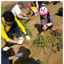 중산농장 이미지