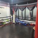 Y멀티짐 이미지