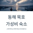 어달가족펜션 | 동해 묵호 가성비 숙소 스테이피어471·어쩌다어달·선샤인호텔 솔직 비교 후기