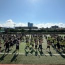 제주서중학교 이미지