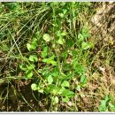 동촌농장 이미지