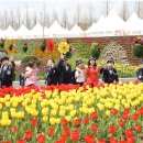 고양1리 마을회관 이미지