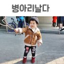 병아리날다 이미지