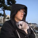 강원도 속초 설악산입구 새해 해돋이｜신랑·반려견 연금이와 맞이한 2026 첫 해