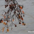 백학낚시터 이미지