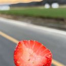 미주농장 이미지