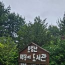 포승작은도서관 주변 | 서산 힐링여행 토성산 맹꽁이 도서관 방문후기