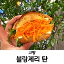 4253 | 경기 고양시 맛집 베이커리 블랑제리 탄 현대백화점 킨텍스점 소금빵 후기