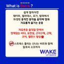 웨이크업바디(wake up body) 이미지