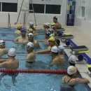 장흥수영장 이미지