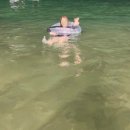 미니스톱 강릉교동대로점 | 강원도 강릉 속초 먹여행 일기 / 또간집 또갈집 여행 추천