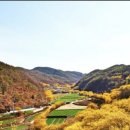 미리내식당 이미지