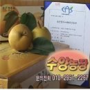 수양2 농장 이미지