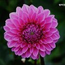 행복한사람들 | 연로하신 어르신 계시다면 추천 관악구 요양원 행복한사람들 안심하고 맡길 수 있는