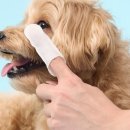 클린아이 이미지