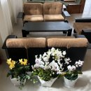 재창약국 | 김천대형카페 평화동 신상 브런치 디저트맛집 세밀베이커리