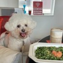 수원시 팔달구 창룡문로 이미지