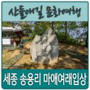 열녀김씨정려 | 연동 송용리 마애여래입상과 세종 언양김씨 정려
