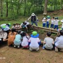 한림성심대학교부속 한림유치원 이미지