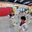 용인대 블랙벨트 태권도 이미지