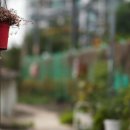 용산-233 이미지