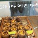 [속초] 에그타르트 맛집 두메 | 속초 빵지순례 | 속초 타르트샵 내돈내산 솔직후기