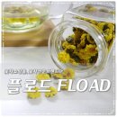 플로드(fload) 이미지