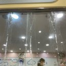 몽실멍실 네이버블로그