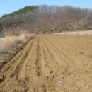 시곡2리 마을회관 이미지