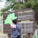 고려동유적지 이미지