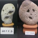 사람박물관 얼굴 Daum카페
