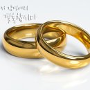 하나로결혼정보 이미지