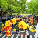 샐리(sally) 이미지