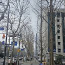 커피앤 | [서울/서초역]모임하기 좋은 서초역카페 '앨리커피앤와인'후기