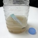 머피아 | [일상] ㅠ ㅠ가 늘어가는 하루의 기록