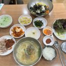 역삼-1309 | [선릉] 명동 칼국수🍜/ 선릉역 맛집 _ 역삼칼국수맛집/내돈내산 솔직후기