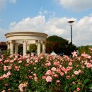 꽃향기 머무는 곳 이미지