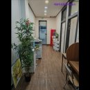 애슐리영어교습소 이미지