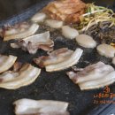 도야지 친구들 이미지