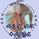 수멍발소 이미지