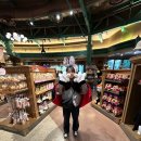 드림피드(주) | 상하이 디즈니랜드 드림데이 패키지 후기(DPA6종)