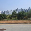 대지이발 네이버블로그