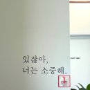 춘천소바 네이버블로그
