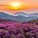 지리산 이미지