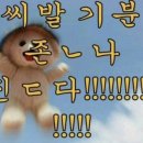 옵데강 이미지