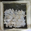 서가네식당 이미지