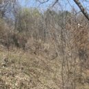 퇴촌면-7 이미지