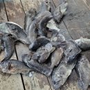 창리낚시터 이미지