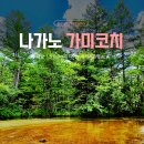 삼도지정마을버스승강장 | 가미코치 완벽 여행가이드 2026 | 교통·코스·숙박·날씨 총정리