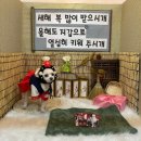 more 카페, 오드랑베이커리함덕점, 스시호시카이,빛의벙커, 커피박물관, 성산일출봉,먹자씨흑돼지연탄구이)